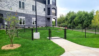 Off-leash dog area