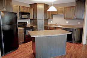 St Cloud apartment for rent - A kitchen with a black refrigerator and wooden cabinets.
