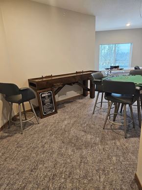 Alexandria apartment for rent - A room with a carpeted floor and a pool table.