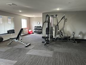 Cambridge apartment for rent - A gym with a variety of equipment including a leg press machine, a chest press machine, and a weight rack.