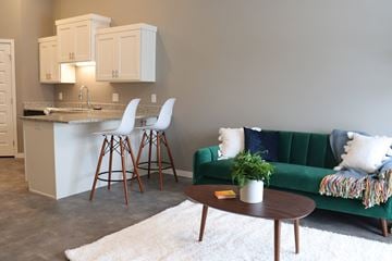Mounds View apartment for rent - a living room with a kitchen and a green couch