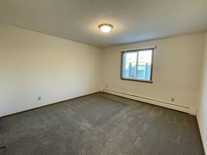 Sauk Rapids apartment for rent - A room with a window and a grey carpet.