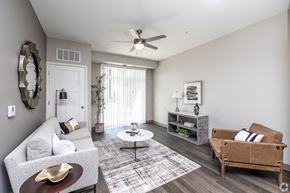 Clear Lake apartment for rent - A living room with a grey couch, a coffee table, and a brown armchair.