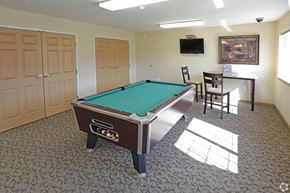 Alexandria apartment for rent - A pool table in a room with a television and a painting on the wall.