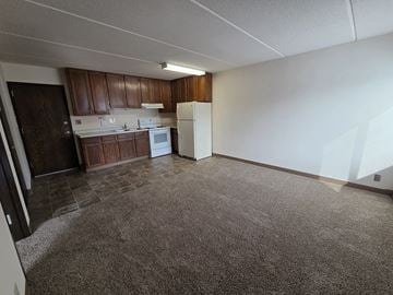 St Cloud apartment for rent - A kitchen area with a white stove and brown cabinets.
