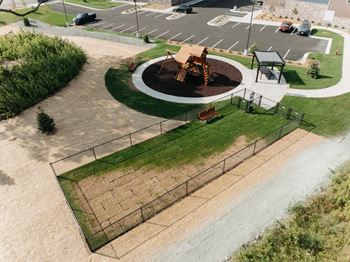 Dog park
