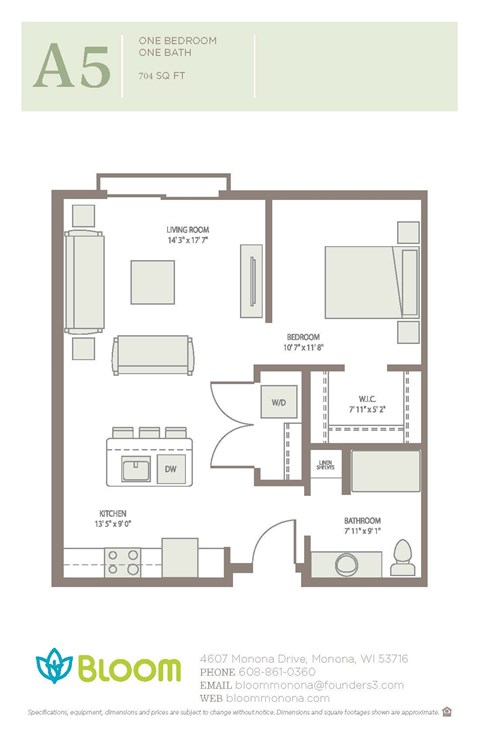 Floor plan for studio, 704 sqft
