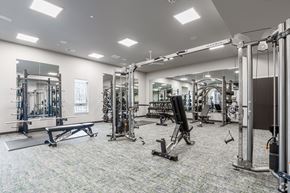 Monona apartment for rent - A gym with a variety of equipment including a squat rack, bench, and weights.