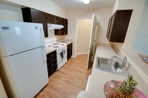 Elkton apartment for rent - a small kitchen with a refrigerator and a sink