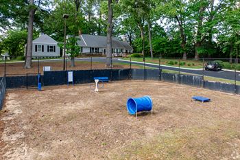 Bark park