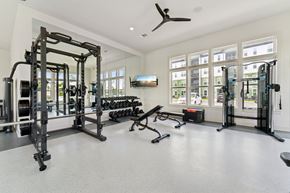 Fort Myers apartment for rent - A spacious gym with a variety of equipment including a squat rack, bench, and weights at The Hendry Apartments, Fort Myers, FL