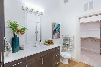 A bathroom with a sink and a mirror and a toilet
