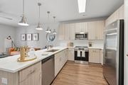 Raleigh apartment for rent - Modern kitchen at The SoHo Luxury Apartments, North Carolina