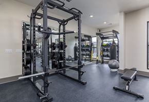 Atlanta apartment for rent - A gym with a variety of equipment including a squat rack, bench, and weights at The Collective Upper Westside Apartments, Atlanta, 30318