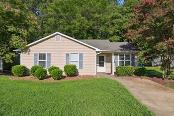 Landscaped yards