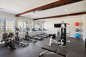 Bloomingdale apartment for rent - Gym with treadmills and other exercise equipment and windows  at The Meadows, Bloomingdale, GA