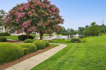 Walking trail