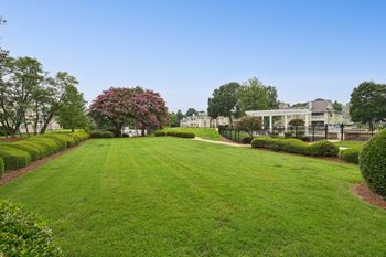 Activity lawn