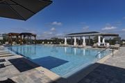 Winter Haven apartment for rent - A large outdoor swimming pool with a tiled edge and a shaded area with lounge chairs at The Waverly at Winter Haven Apartments, Winter Haven, 33884
