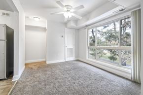 Silver Spring apartment for rent - A spacious room with a ceiling fan and a large window overlooking a tree-filled area.