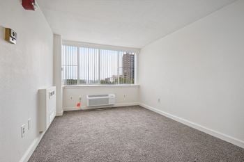 Plush carpeting in bedroom*