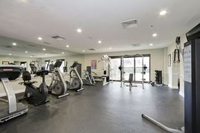 Laurel apartment for rent - A gym with treadmills, elliptical machines, and other exercise equipment.