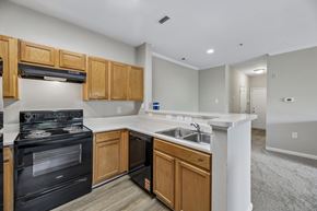 Largo apartment for rent - A kitchen with a black stove top oven and wooden cabinets.