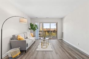 Alexandria apartment for rent - A living room with a grey couch, yellow pillows, and a plant on the windowsill.