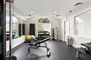 Great Mills apartment for rent - A gym with a row of exercise balls and a bench press.