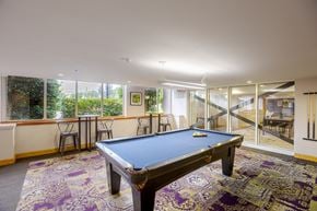 Alexandria apartment for rent - A pool table in a room with a view of the backyard.