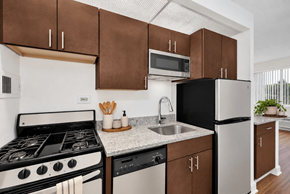 Alexandria apartment for rent - A modern kitchen with a black oven and a white stove.