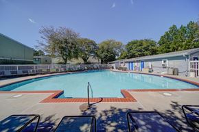 Newport News apartment for rent - A large outdoor swimming pool with a diving board and sun loungers.