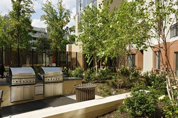 Outdoor eating area with grills