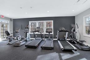 Reston apartment for rent - the gym is equipped with treadmills and other exercise equipment