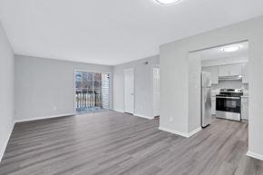 Portsmouth apartment for rent - A spacious living area with a kitchen in the background.