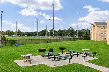 Bbq/picnic area