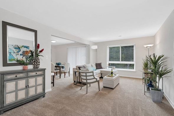 Silver Spring apartment for rent - a living room with beige carpet and a white couch