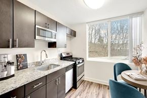 Alexandria apartment for rent - our apartments offer a modern kitchen with granite counter tops and stainless steel appliances