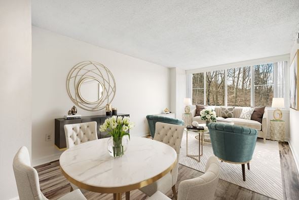 Alexandria apartment for rent - a living room with a table and chairs and a couch