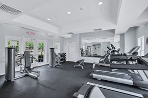 Woodbridge apartment for rent - the gym at the runyon canyon apartments in prospect heights il