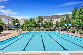 Woodbridge apartment for rent - a swimming pool with trees and a building in the background