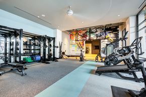 Alexandria apartment for rent - A gym with a variety of equipment including a treadmill, weights, and a bench.