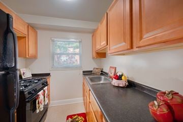 Springfield apartment for rent - A kitchen with a black fridge and wooden cabinets.