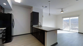 Charlottesville apartment for rent - an empty kitchen with a refrigerator and a sink