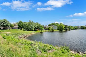 Lake view
