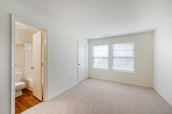 Plush, wall-to-wall carpeting