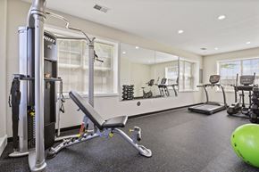 Martinsburg townhouse for rent - A well-equipped gym with a variety of exercise machines and a green exercise ball.