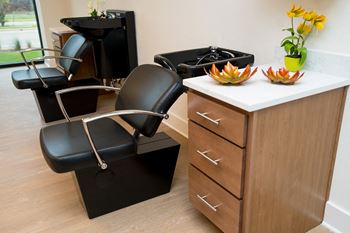 Salon