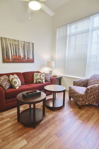 Mini blinds