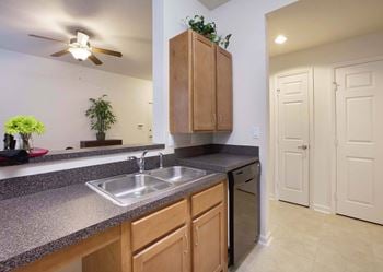 Double basin kitchen sink